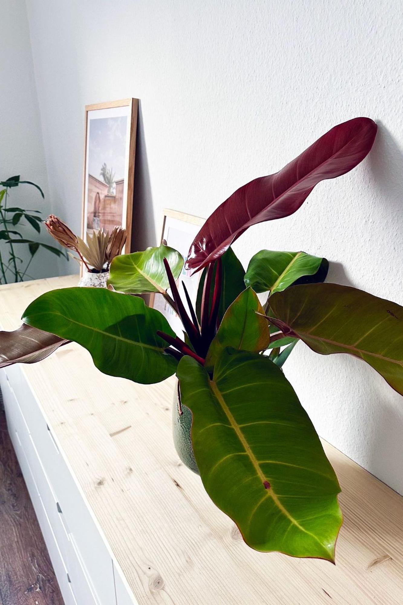 Business & Leisure Apartment Ingolstadt Kültér fotó